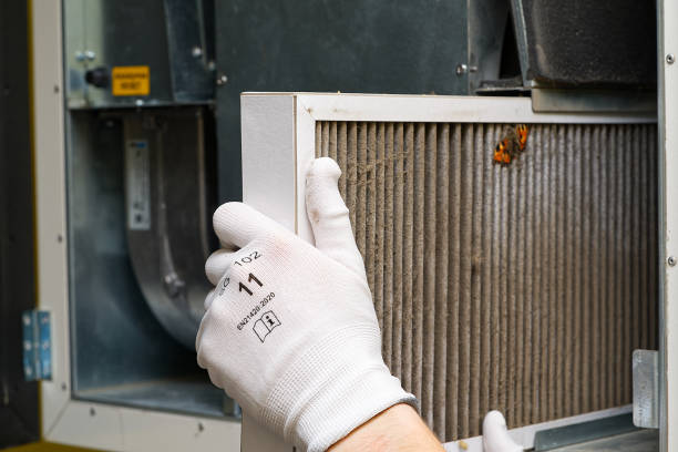 Best Ductwork Cleaning Services  in Seabrook, TX