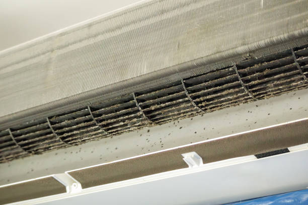 Best Air Duct Cleaning Near Me  in Seabrook, TX